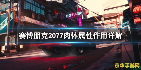 赛博朋克2077是单机还是联机 赛博朋克2077:单机与联机之辩 赛博朋克2077是单机还是联机 赛博朋克2077:单机与联机之辩