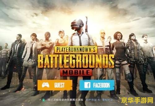 pubg国际版 绝地求生:国际版游戏深度解析 pubg国际版 绝地求生:国际版游戏深度解析