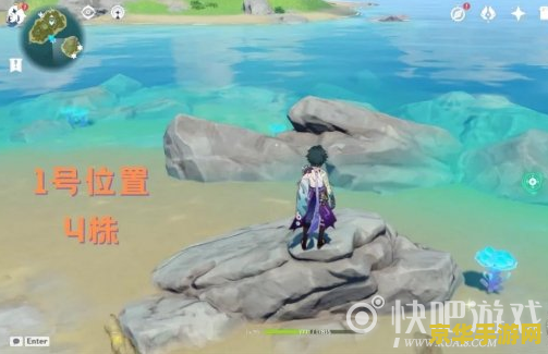 原神海灵芝最多地方 原神探索：海灵芝的宝藏之地