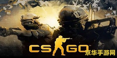 csgo皮肤交易平台 CSGO皮肤交易平台：探索游戏皮肤的交易世界
