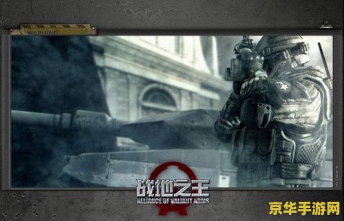 战地之王 加里奥 战地之王：加里奥的荣耀征程