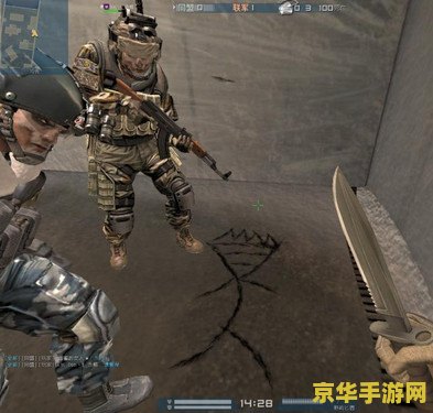 战地之王 加里奥 战地之王：加里奥的荣耀征程