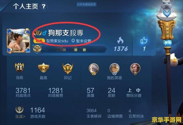 王者荣耀被封十年怎么回事 王者荣耀被封十年：原因与影响深度解析