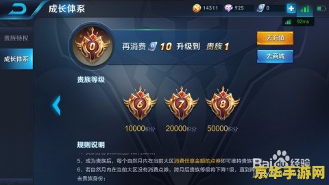 王者荣耀怎么查询vip 王者荣耀VIP查询方法详解