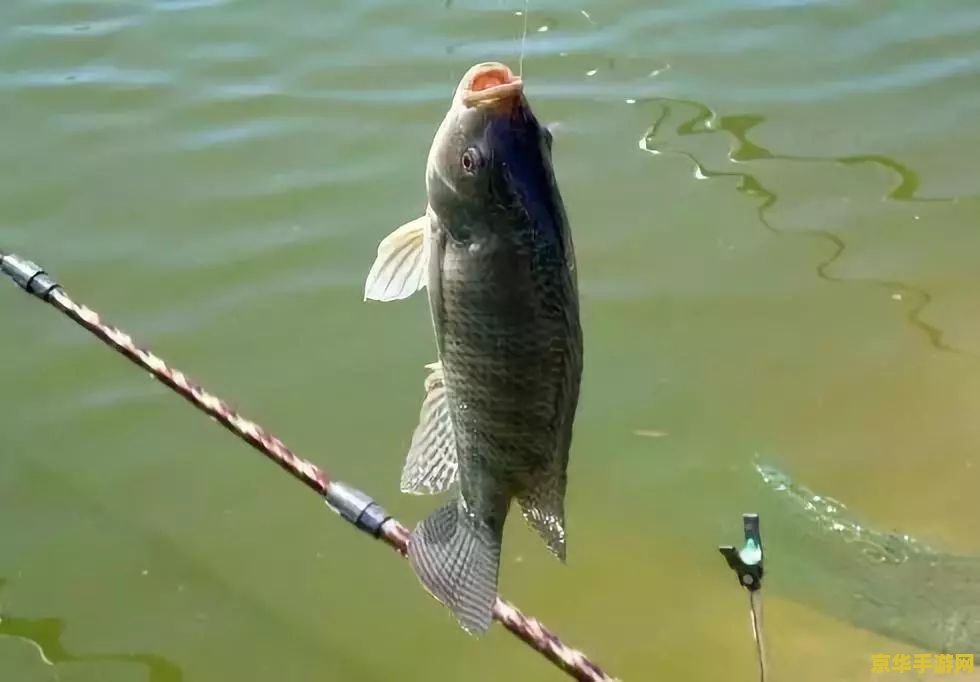 原神红色的鱼用什么钓 原神攻略:红色鱼类的垂钓之道 原神红色的鱼用什么钓 原神攻略:红色鱼类的垂钓之道