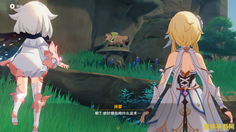 原神神樱大祓3解密全过程 原神神樱大祓3解密攻略：全程详解与技巧分享