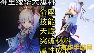 原神神里绫化的突破材料 原神攻略神里绫华突破材料详解与游戏策略分析