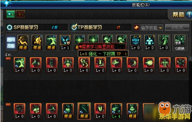 dnf男毒王加点 DNF男毒王加点攻略：技能选择与优化之道