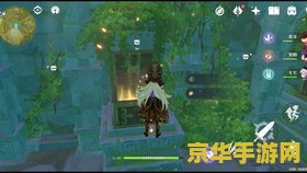 原神珍贵的宝箱位置图 原神珍贵宝箱位置全攻略