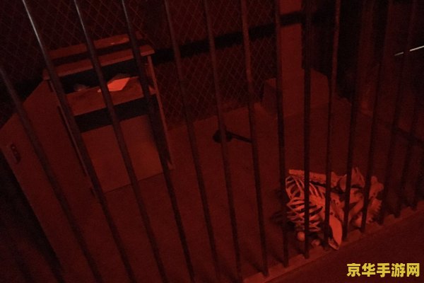 日本密室逃脱 日本密室逃脱：智慧与勇气的双重考验