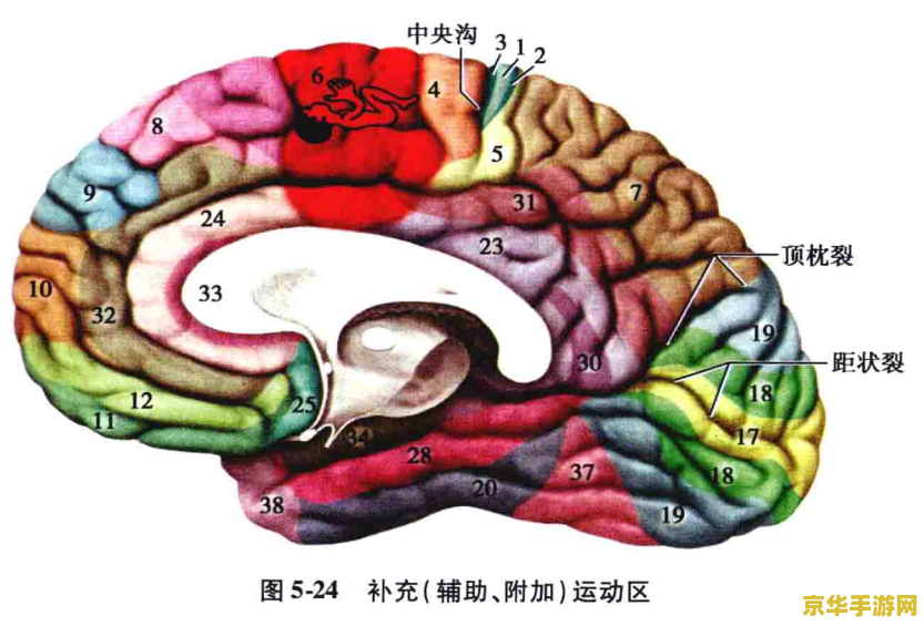巨大的叶片迎风转动原神 原神：风动巨叶，转动奇幻之旅