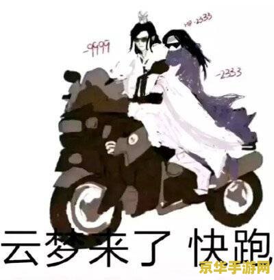 风云之大师兄 风云之大师兄：江湖风云再起