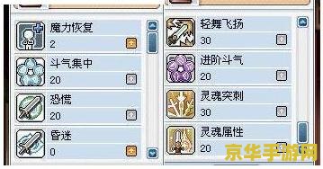 冒险岛炎术士加点 冒险岛炎术士加点攻略：技能选择与优化之道