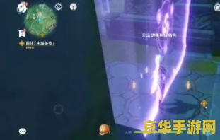 原神当前雷种子不足以通过结界 原神：雷种子不足，如何突破结界挑战？