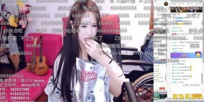 英雄联盟之女主播小说 英雄联盟：星光女主播的荣耀之路