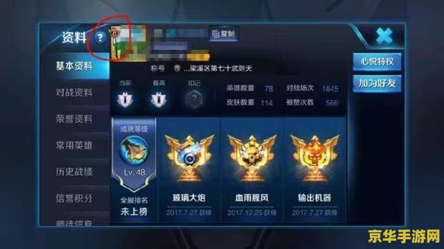 王者荣耀怎么消除被举报的分数 王者荣耀：消除被举报扣分，恢复信誉积分全攻略