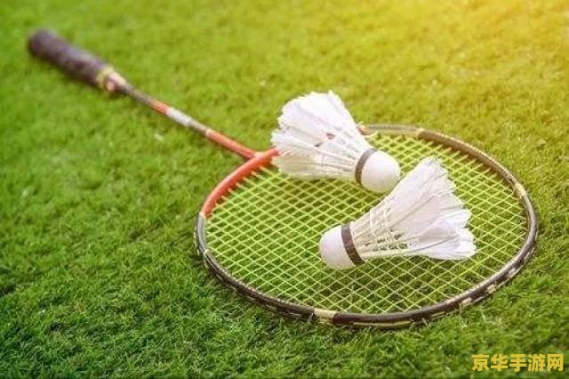 原神羽球怎么瞄准 原神羽球瞄准技巧解析 原神羽球怎么瞄准 原神羽球瞄准技巧解析