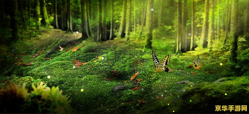 梦幻森林 梦幻森林：奇幻之旅