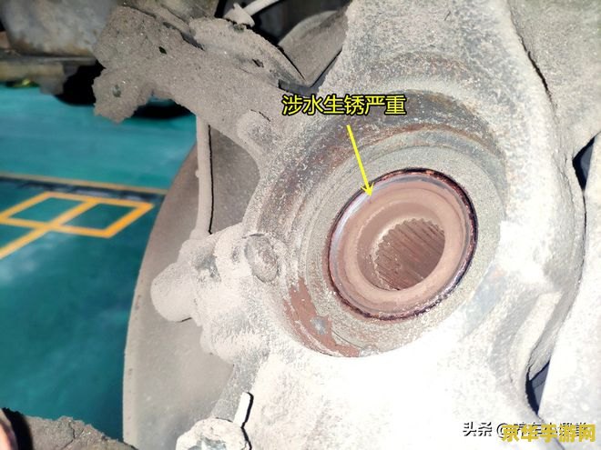 原神被笼子关起来的绯红玉髓 原神：笼中绯红玉髓之谜