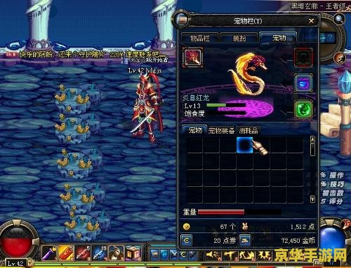 dnf龙之心 DNF龙之心：深渊之龙的觉醒