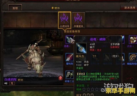 斗战神埋骨之地 斗战神埋骨之地：深渊挑战与荣耀之路