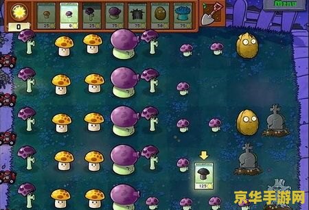 植物大战僵尸秘籍 植物大战僵尸秘籍大揭秘