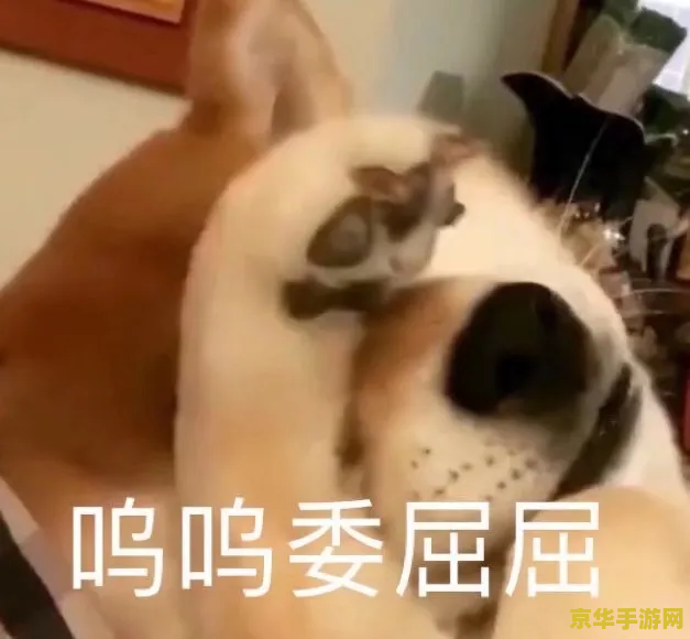 原神班尼特沙雕表情包 原神班尼特沙雕表情包大赏：欢乐无限，冒险不止！