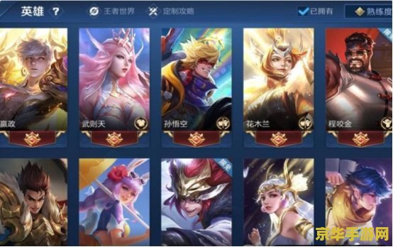 王者荣耀皮肤买错了怎么办 王者荣耀皮肤买错后的应对策略