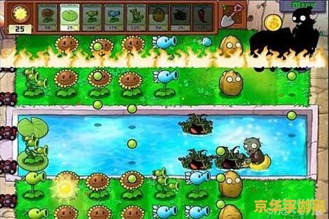 植物大战僵尸秘籍 植物大战僵尸秘籍大揭秘
