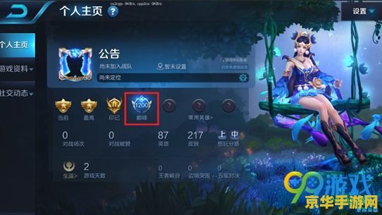 王者荣耀怎么抢体验服2月 王者荣耀体验服二月抢号攻略：快速获取资格，抢先体验新版本