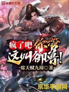 完本的网游小说 网游之巅峰传奇
