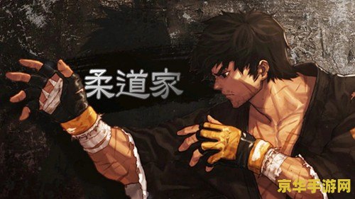 男柔道带什么武器 男柔道武器选择指南：打造无敌战斗力的关键