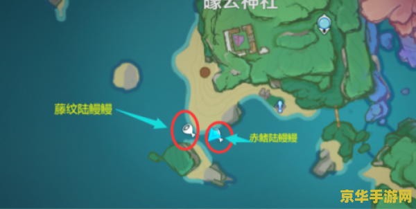 原神陆鳗位置 原神探索：陆鳗鳗的神秘藏身之处
