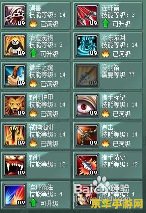 征途2弓手加点 征途2弓手加点攻略：技能选择与属性分配深度解析