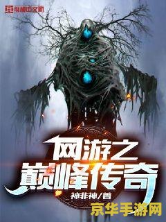 完本的网游小说 网游之巅峰传奇
