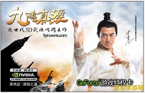 九阴真经特权礼包 九阴真经：尊享特权，礼包来袭！