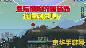 我的世界怎么去蘑菇岛 我的世界探险指南：揭秘前往蘑菇岛的神秘之旅