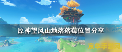 原神洛洛莓在哪里 原神洛洛莓采集指南