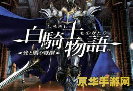 psp白骑士物语 PSP白骑士物语：奇幻世界的勇者传说