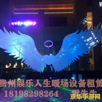 天使之翼全集 天使之翼：飞翔的传奇之旅