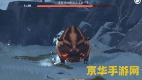原神猪王在哪儿 原神猪王探寻之旅