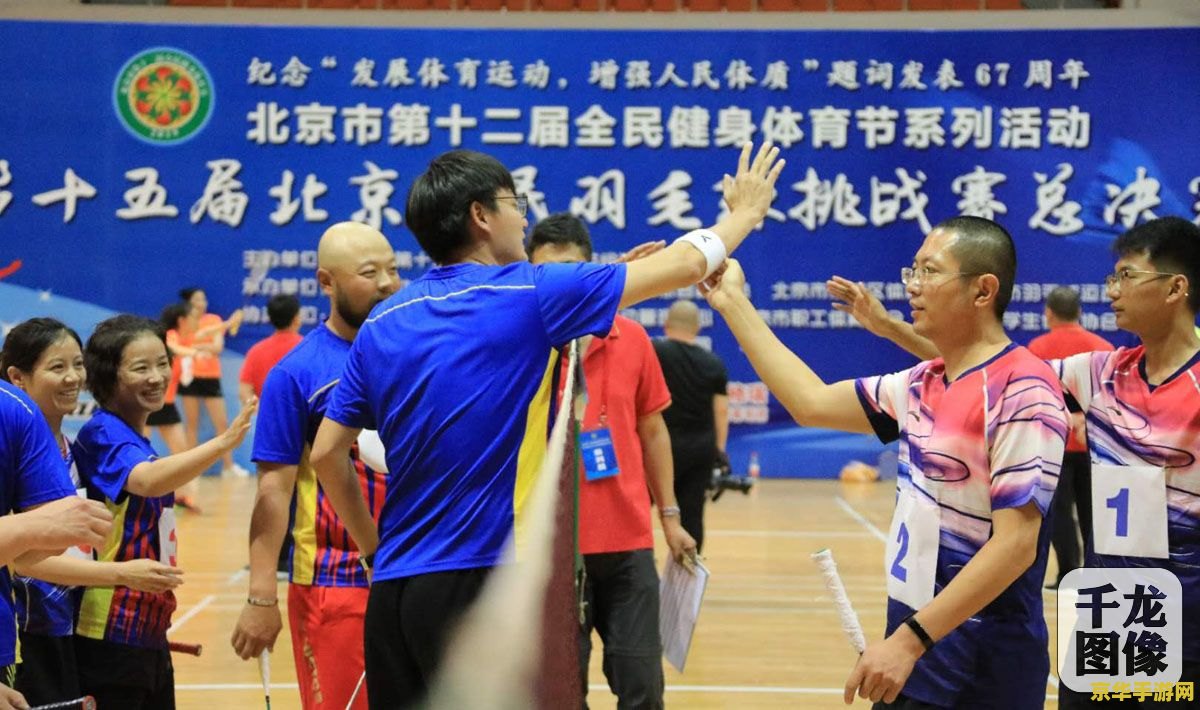 原神羽球挑战 原神羽球挑战：探索与竞技的奇幻之旅