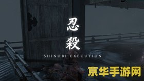 原神为什么磐岩套没有效果 原神磐岩套效果解析：为何有时看似无效？
