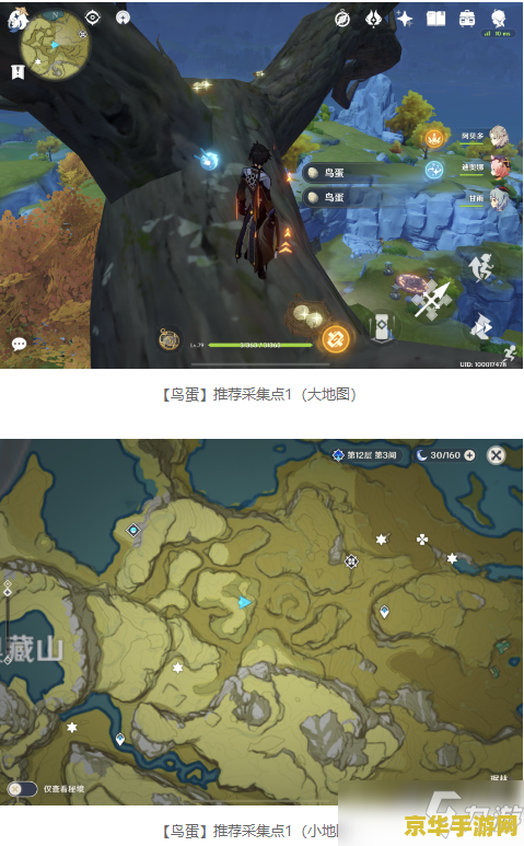 原神鸟蛋在哪采集 原神鸟蛋采集指南：探索最佳采集点