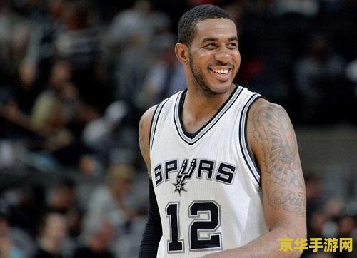 nba阿尔德里奇 NBA阿尔德里奇：篮球巨星的荣耀之路