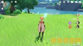 蒲公英怎么采摘原神 原神蒲公英采集攻略