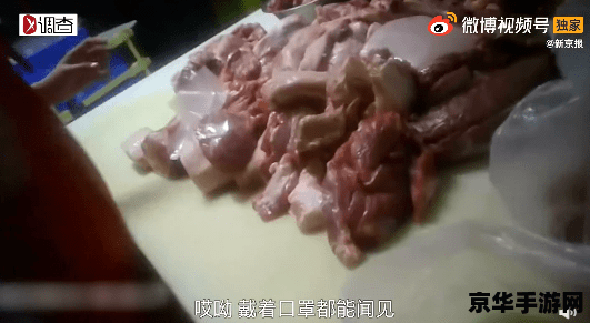 原神冷冻鲜肉怎么换成普通肉 原神中冷冻鲜肉与普通肉的转换之道