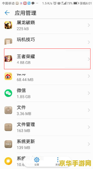 王者荣耀怎么清理文件 王者荣耀文件清理指南