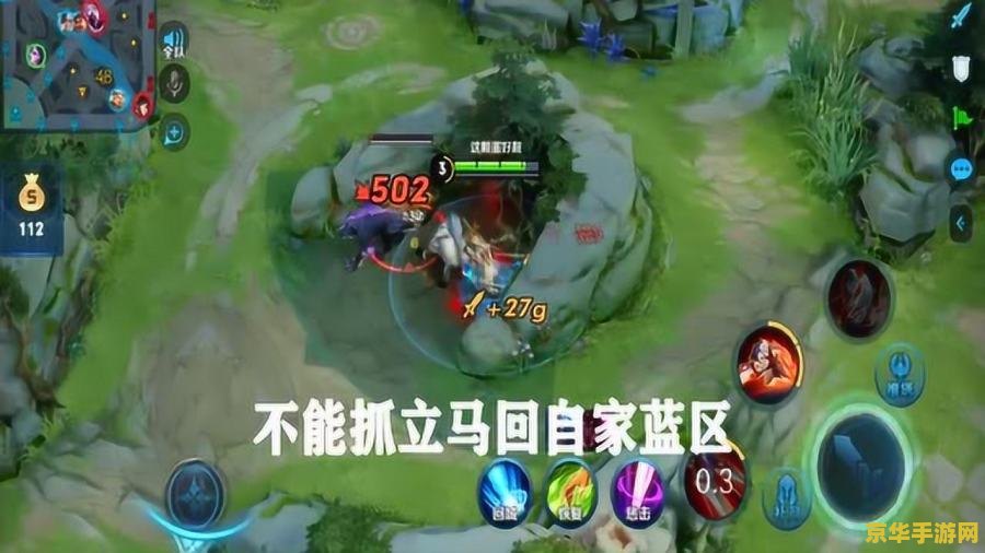 王者荣耀打野英雄怎么带节奏 王者荣耀打野英雄如何引领节奏