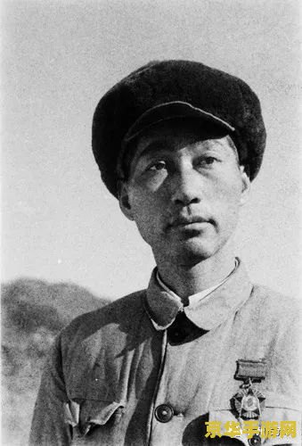 原神圣甲金虫 原神圣甲金虫：探索与战斗的艺术